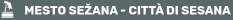 Mesto Seana